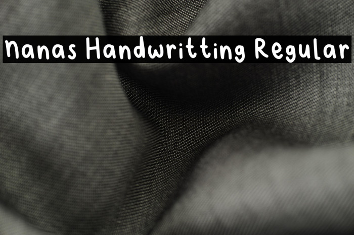 Nanas Handwritting Regular Example 3