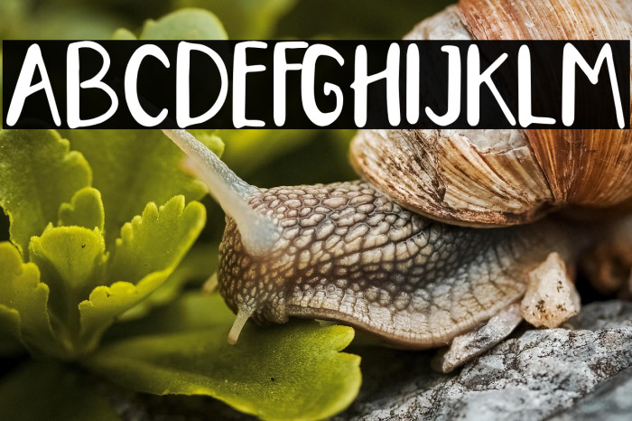 Nanci Pinio Example 2