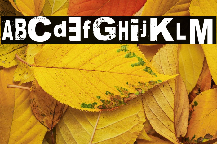 Nancy Spungen Basic Example 1