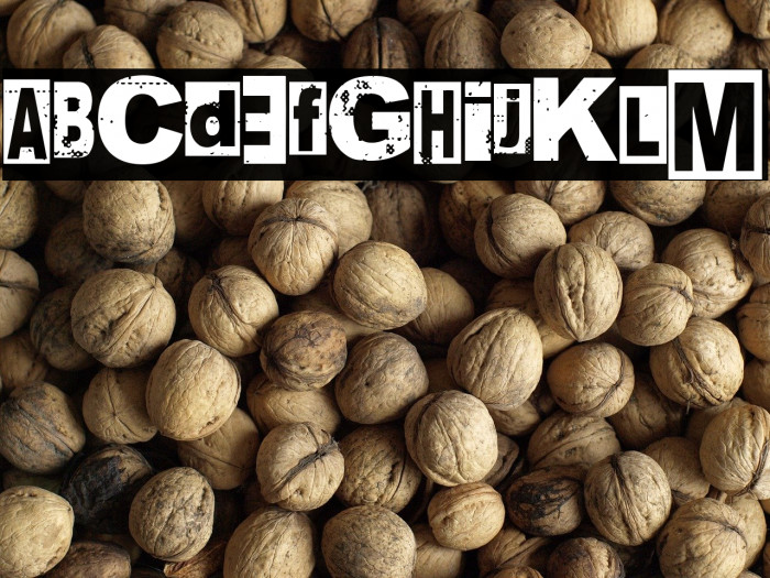 Nancy Spungen Example 2