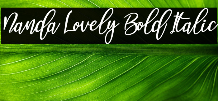 Nanda Lovely Bold Italic Example 1