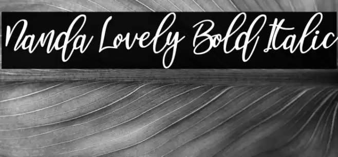Nanda Lovely Bold Italic Font examples