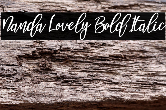 Nanda Lovely Bold Italic Example 3