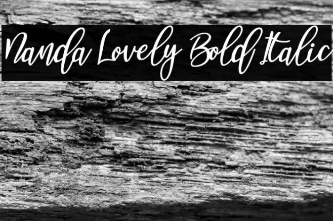 Nanda Lovely Bold Italic Font examples