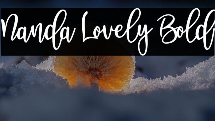 Nanda Lovely Bold Example 2