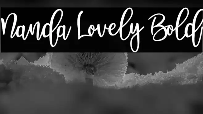 Nanda Lovely Bold Font examples