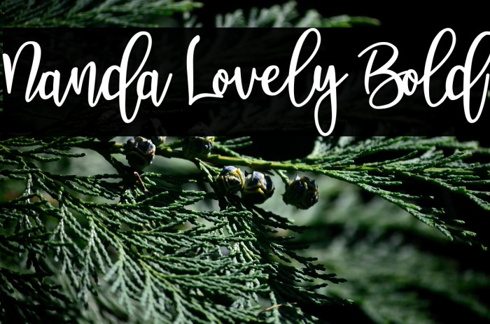 Nanda Lovely Bold Example 3