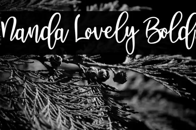 Nanda Lovely Bold Font examples