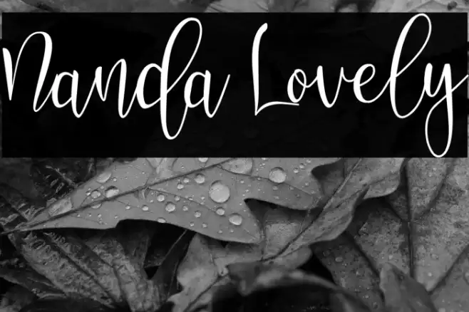 Nanda Lovely Example 1