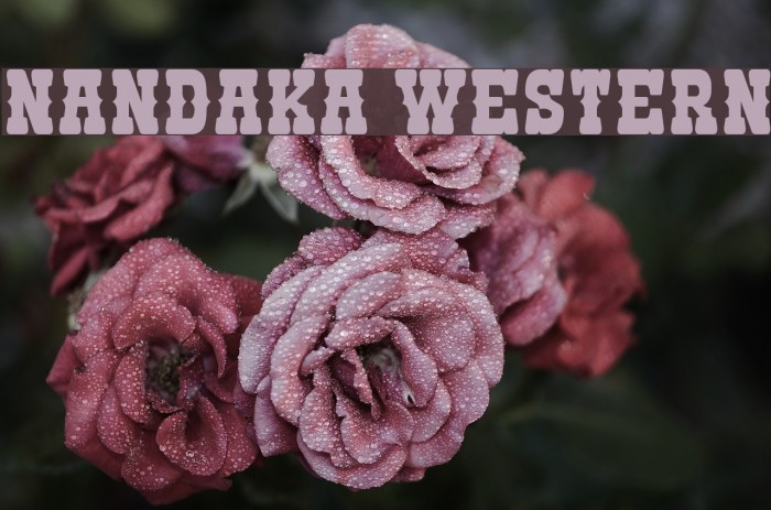 Nandaka Western फ़ॉन्ट examples