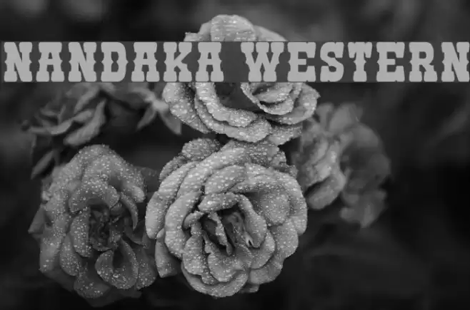Nandaka Western Font examples