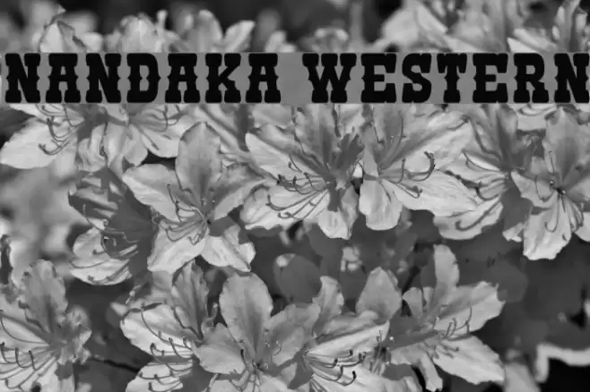 Nandaka Western Font examples