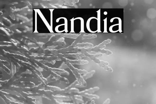 Nandia Example 3