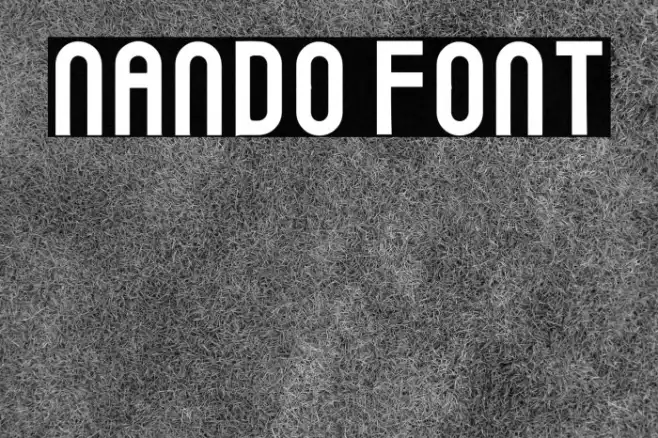 Nando Example 1
