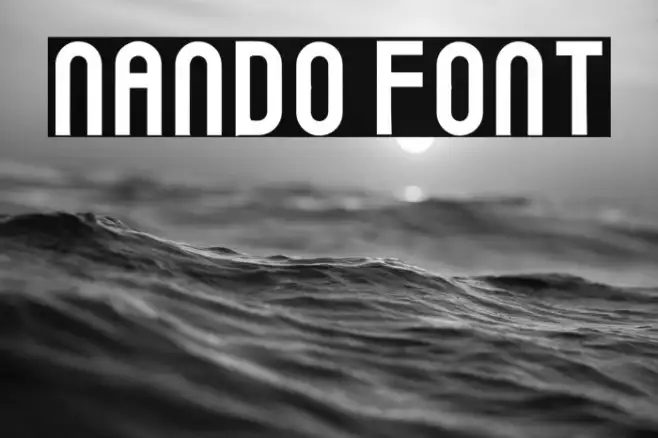 Nando Example 2