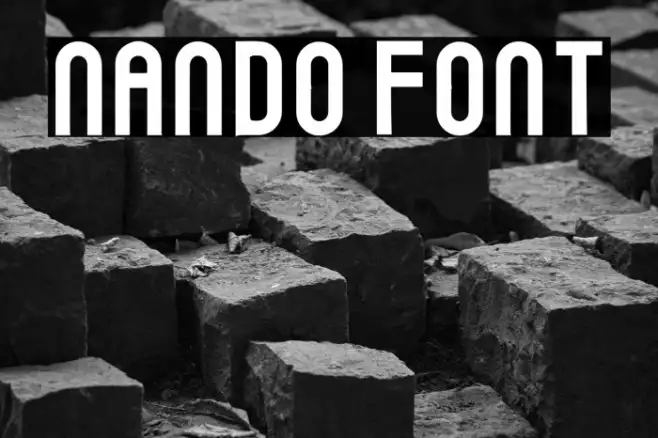 Nando Example 3