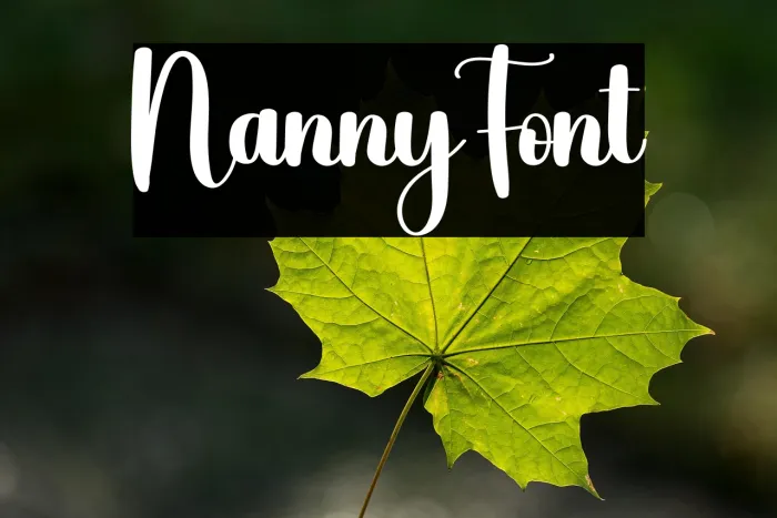 Nanny Example 2