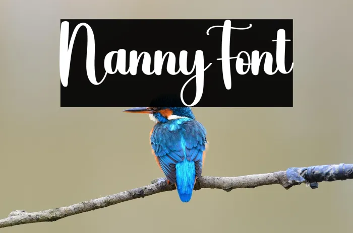 Nanny Example 3