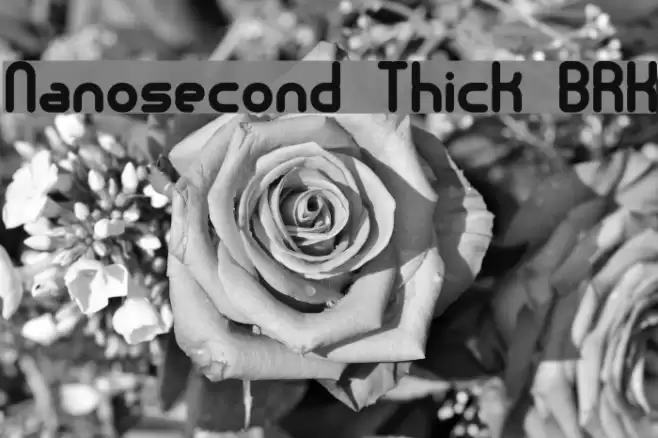 Nanosecond Thick BRK フォント examples