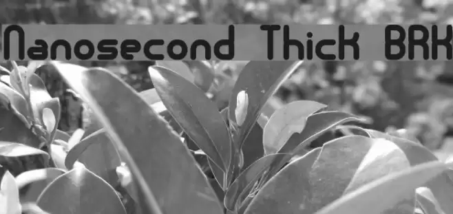 Nanosecond Thick BRK フォント examples