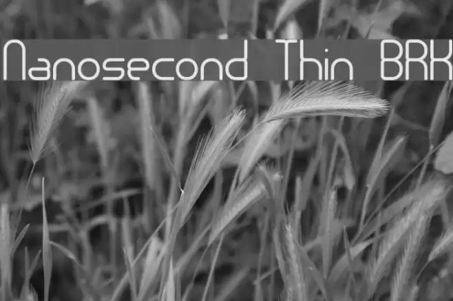 Nanosecond Thin BRK Fonte examples