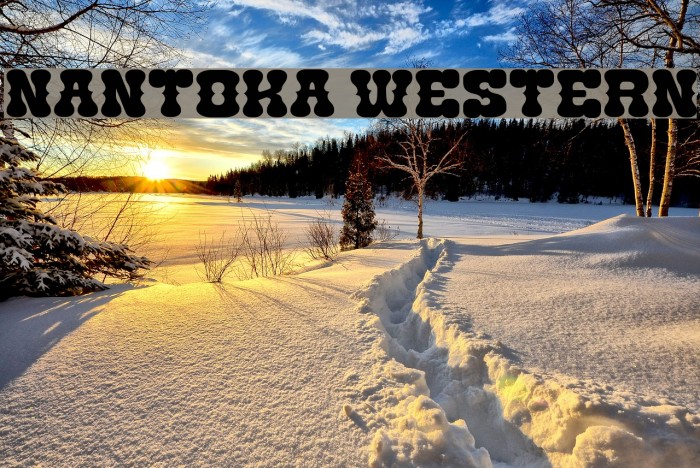 Nantoka Western Font examples