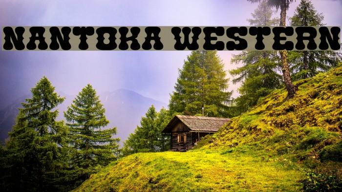 Nantoka Western Font examples