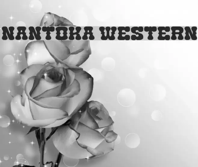 Nantoka Western Font examples