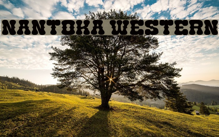 Nantoka Western Font examples