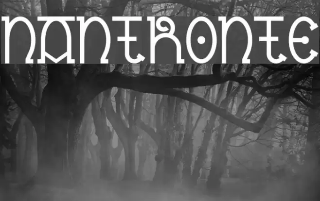 Nantronte Font examples