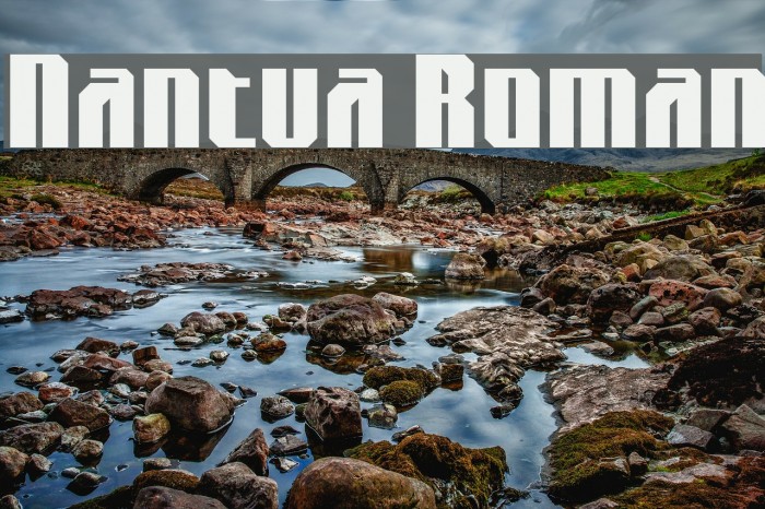 Nantua Roman Font examples