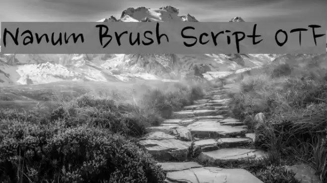 Nanum Brush Script OTF Font examples