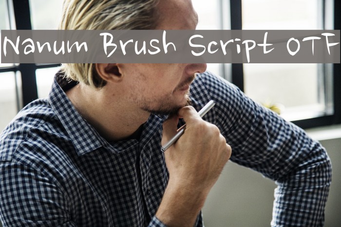 Nanum Brush Script OTF Font examples
