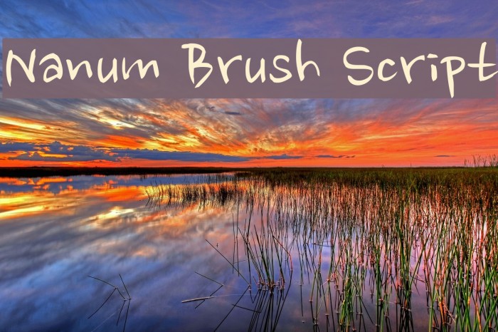 Nanum Brush Script Font examples