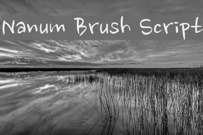 Nanum Brush Script Example 1