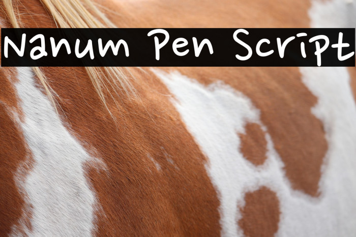 Nanum Pen Script Example 1