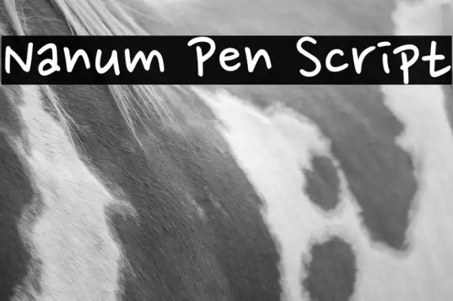Nanum Pen Script Example 1