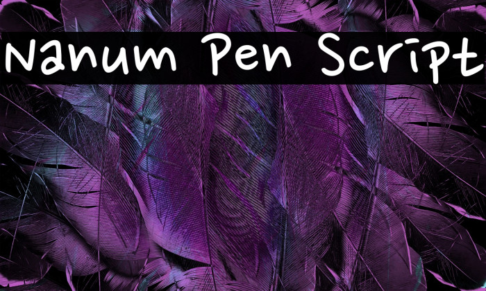 Nanum Pen Script Example 2
