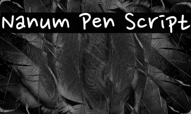 Nanum Pen Script Example 2