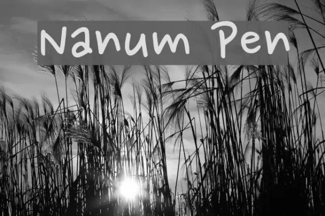 Nanum Pen Font examples
