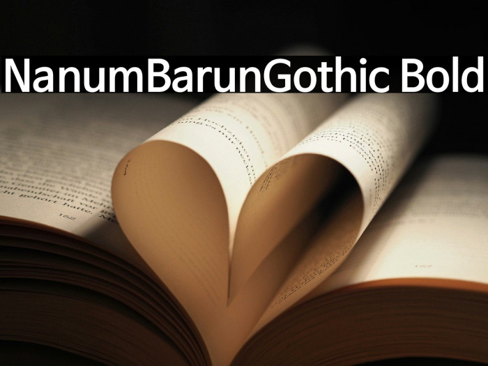 NanumBarunGothic Bold Example 1