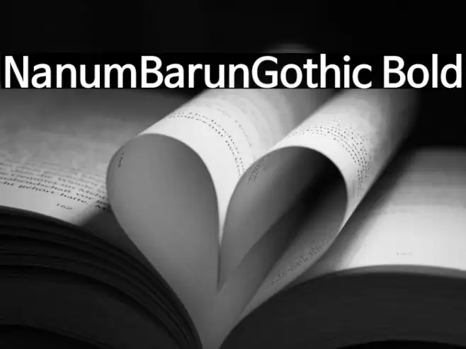 NanumBarunGothic Bold Example 1