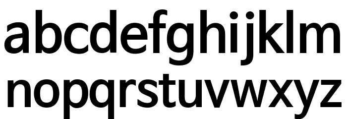 NanumBarunGothic Bold Font LOWERCASE
