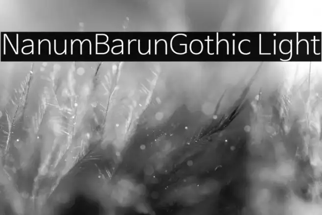 NanumBarunGothic Light Example 2