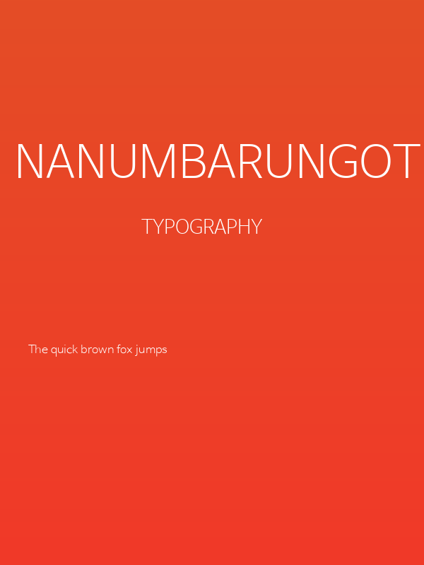 NanumBarunGothic Light Poster