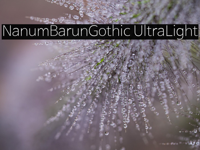 NanumBarunGothic UltraLight Example 1