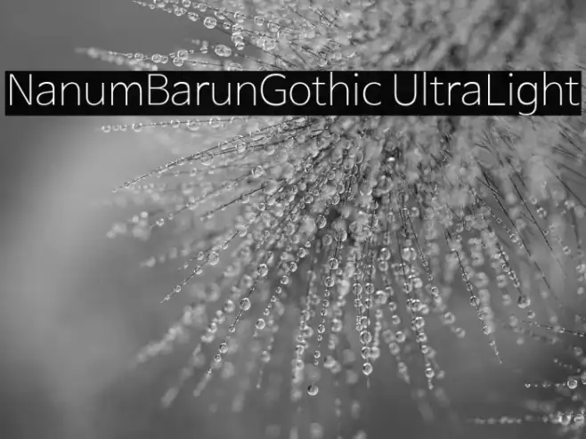 NanumBarunGothic UltraLight Example 1