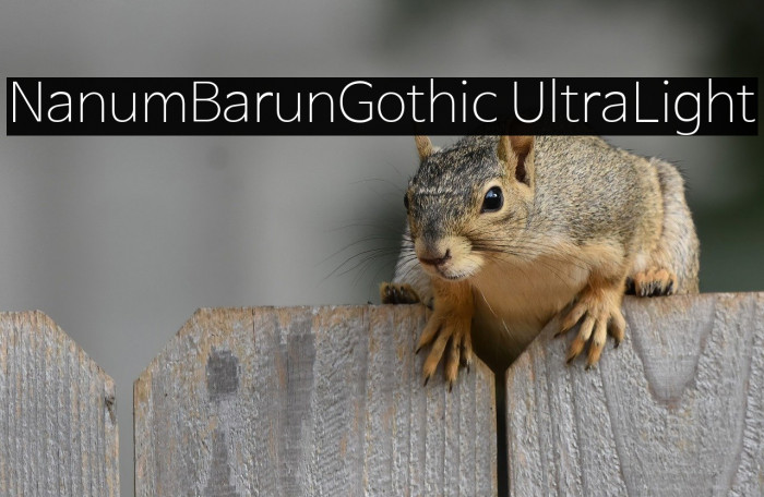 NanumBarunGothic UltraLight Example 3
