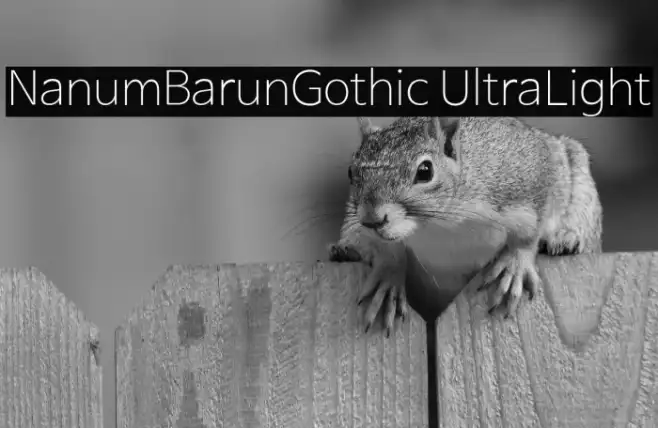 NanumBarunGothic UltraLight Example 3