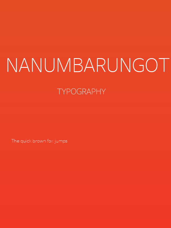 NanumBarunGothic UltraLight Poster